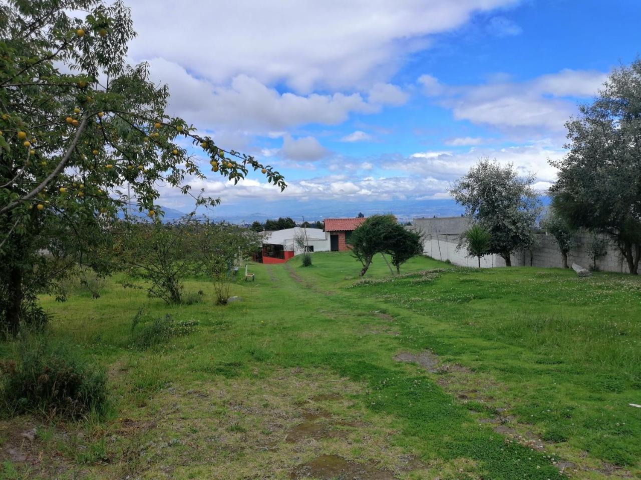 Hosteria El Tisaleno Ambato Kültér fotó